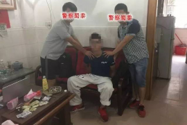 濠江债务清欠服务